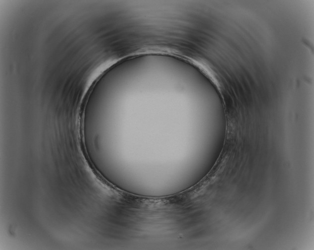 X0000090981003200708241359