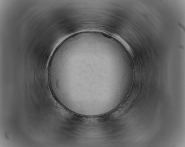 X0000090981004200708241359