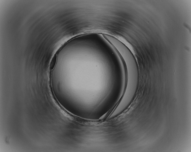 X0000090981005200708241359