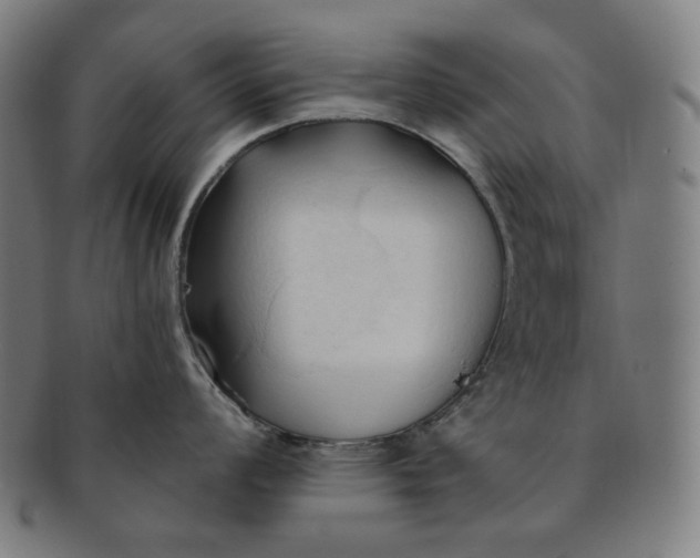 X0000090981008200708241359