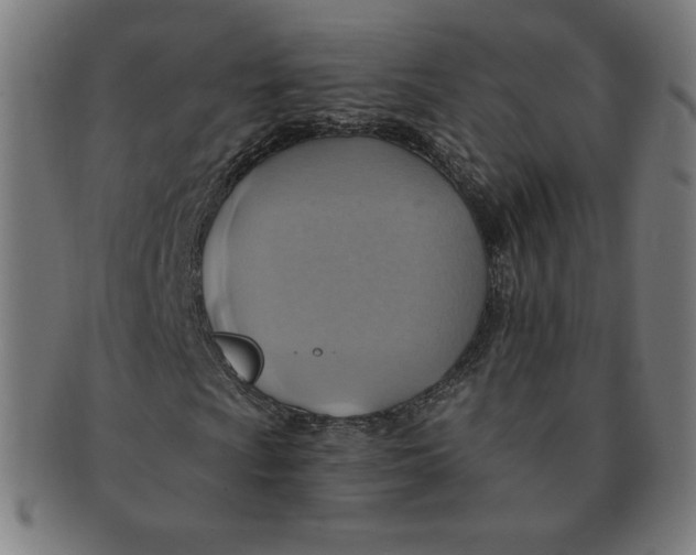 X0000090981009200708241358