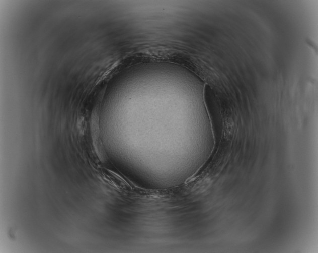 X0000090981010200708241358