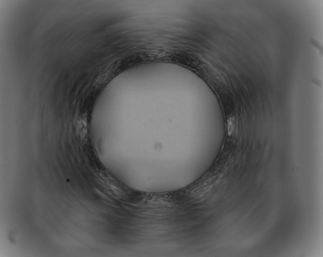 X0000090981011200708241358