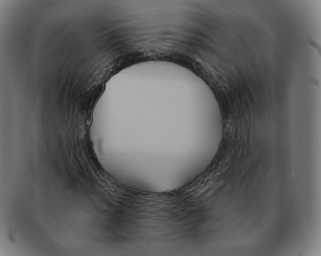X0000090981012200708241358