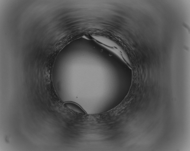 X0000090981013200708241358
