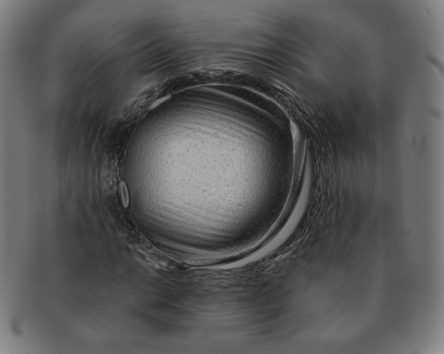 X0000090981014200708241358