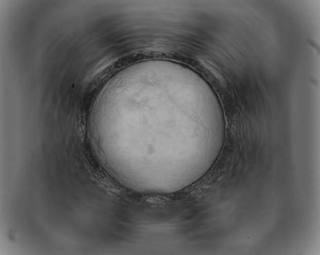 X0000090981015200708241358