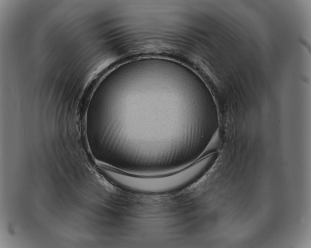 X0000090981018200708241358