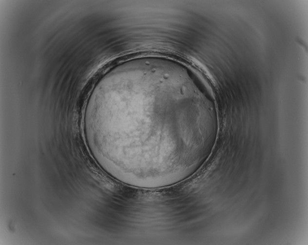 X0000090981019200708241358