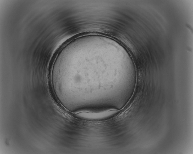 X0000090981020200708241358