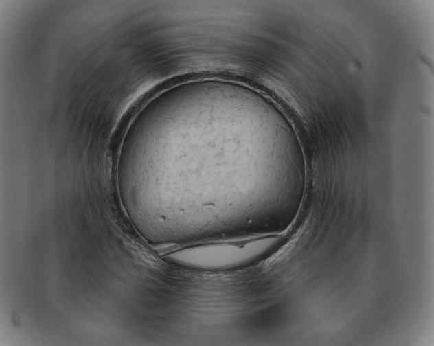 X0000090981021200708241358