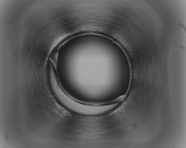X0000090981022200708241358