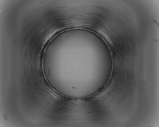 X0000090981023200708241358