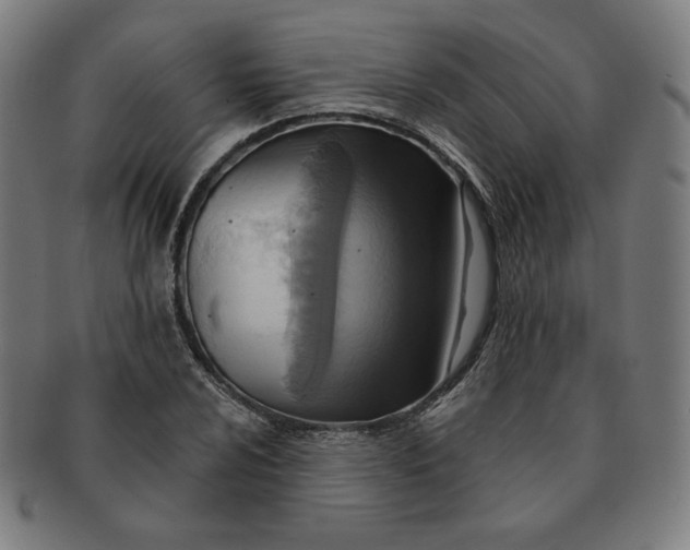 X0000090981024200708241358