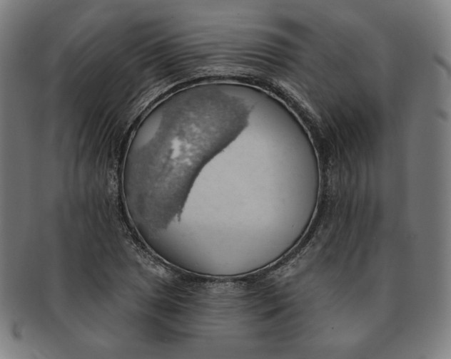 X0000090981025200708241358