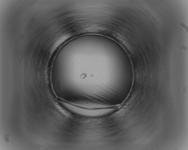 X0000090981026200708241358