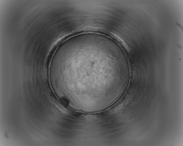 X0000090981027200708241358