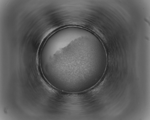 X0000090981028200708241358