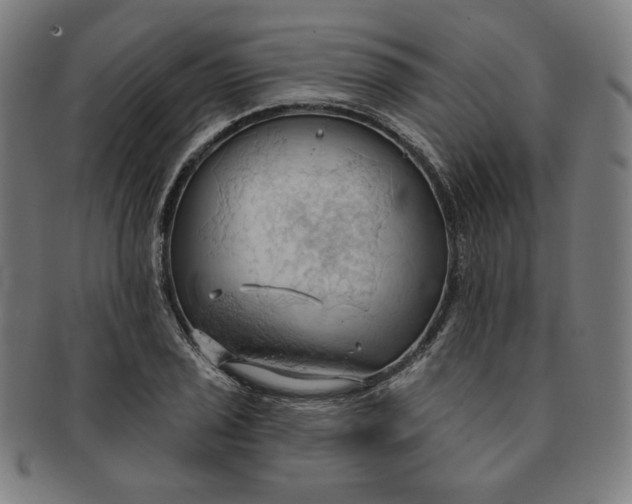 X0000090981029200708241358