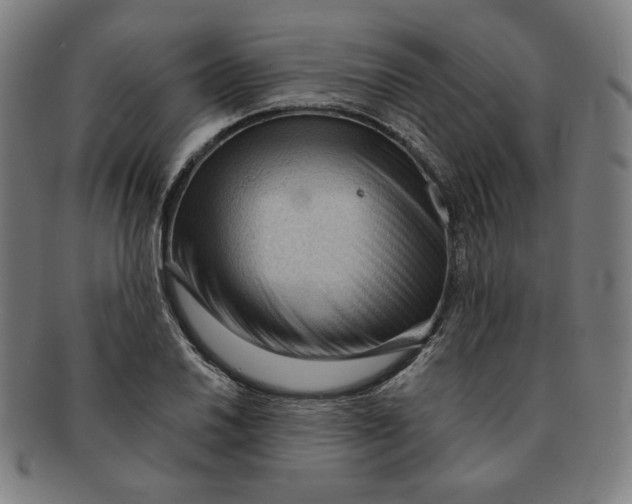 X0000090981030200708241358