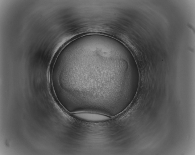 X0000090981032200708241358
