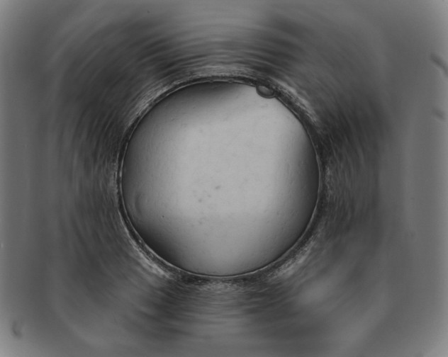 X0000090981033200708241358