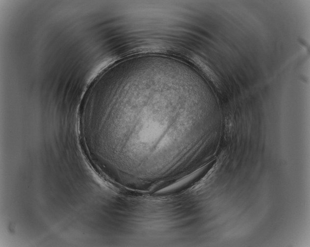 X0000090981034200708241358