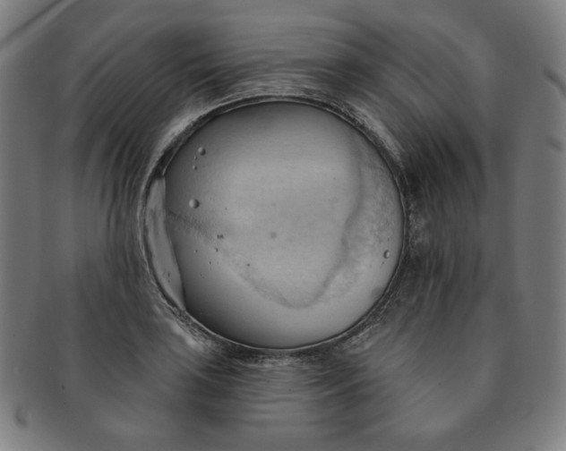 X0000090981035200708241358