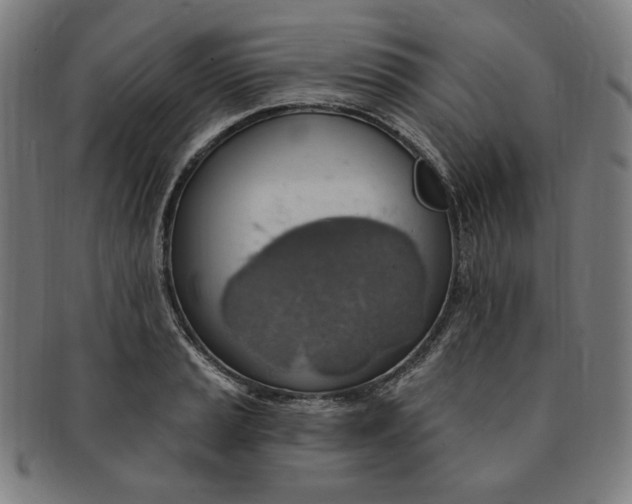 X0000090981037200708241358