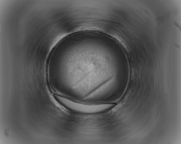 X0000090981038200708241358