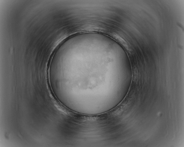 X0000090981039200708241358