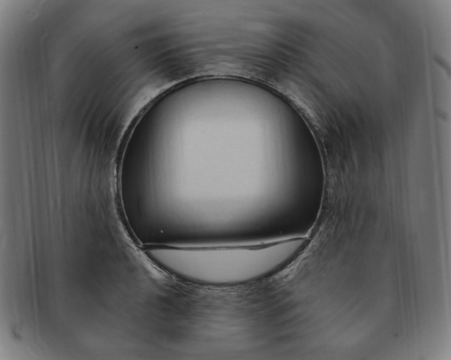 X0000090981040200708241358