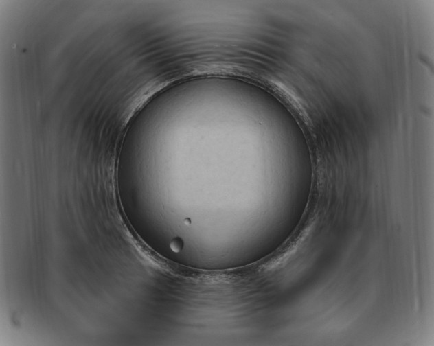 X0000090981041200708241358