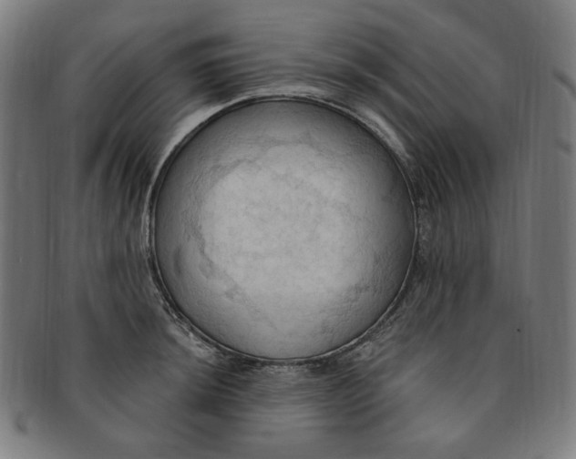 X0000090981044200708241358