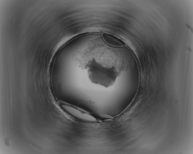 X0000090981045200708241358