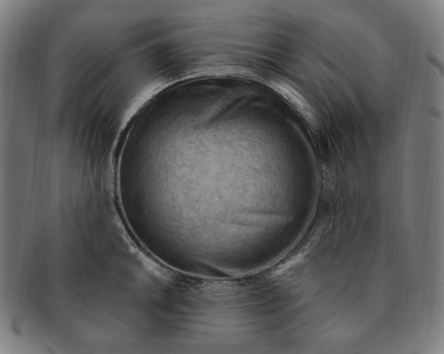 X0000090981046200708241358