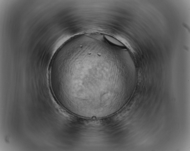 X0000090981047200708241358