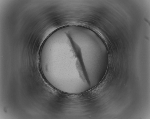 X0000090981048200708241359