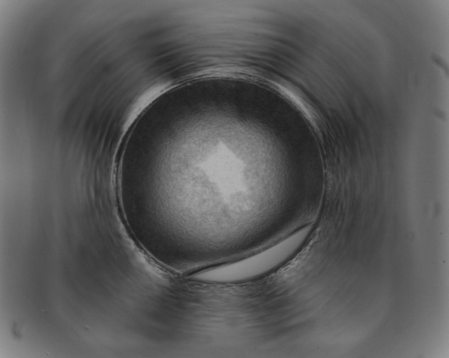 X0000090981050200708241359