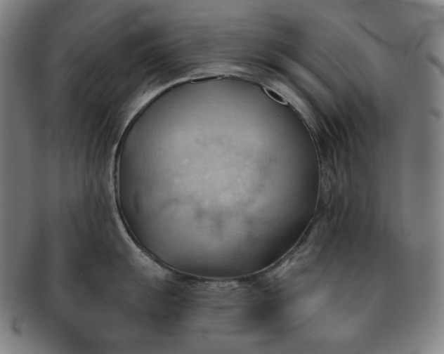 X0000090981055200708241359