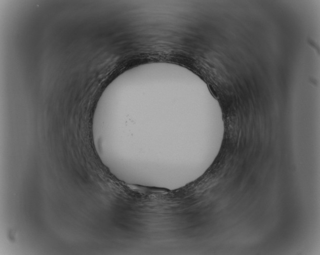 X0000090981057200708241358