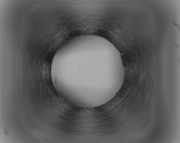 X0000090981058200708241358