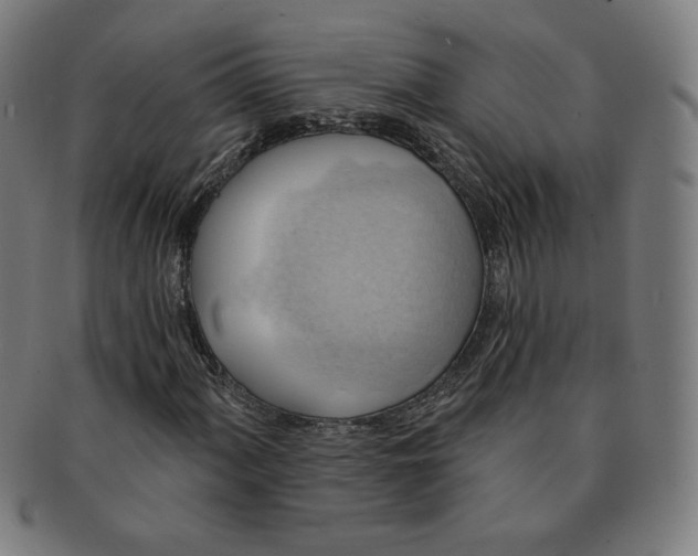 X0000090981060200708241358