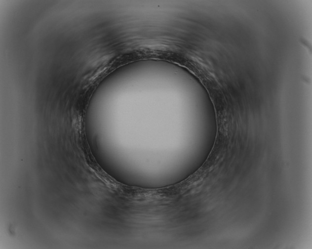 X0000090981061200708241358