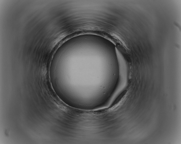 X0000090981065200708241358