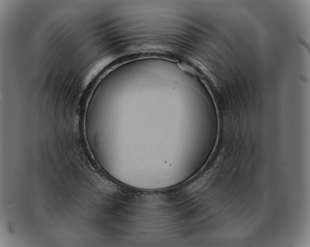 X0000090981066200708241358