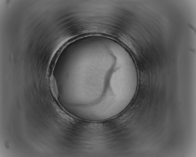 X0000090981068200708241358