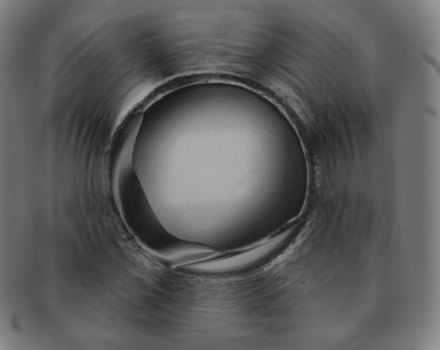 X0000090981069200708241358