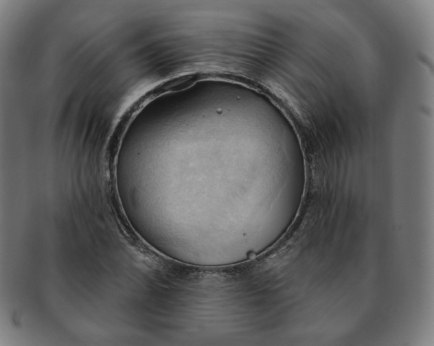 X0000090981070200708241358