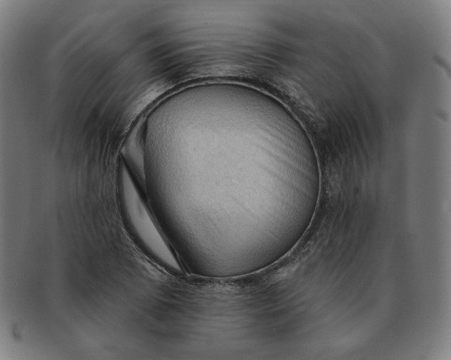 X0000090981073200708241358